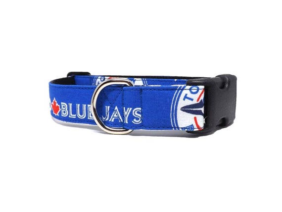 blue jays dog collar