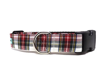 Mini Royal Stewart Dress Tartan Dog Collar | Small Scale Tartan Dog Collar | Available in 4 widths