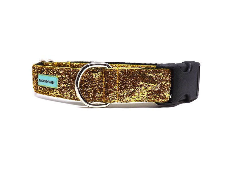 Sparkle Glitter Dog Collar Gold No Mess Sparkle Dog Collar Etsy