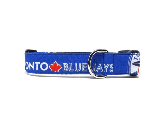 blue jays dog collar