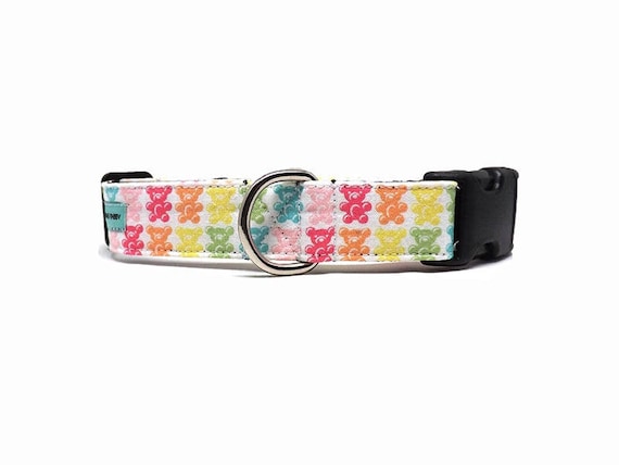 bear dog collar