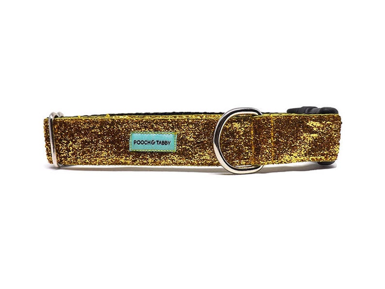 Sparkle Glitter Dog Collar Gold No Mess Sparkle Dog Collar Etsy