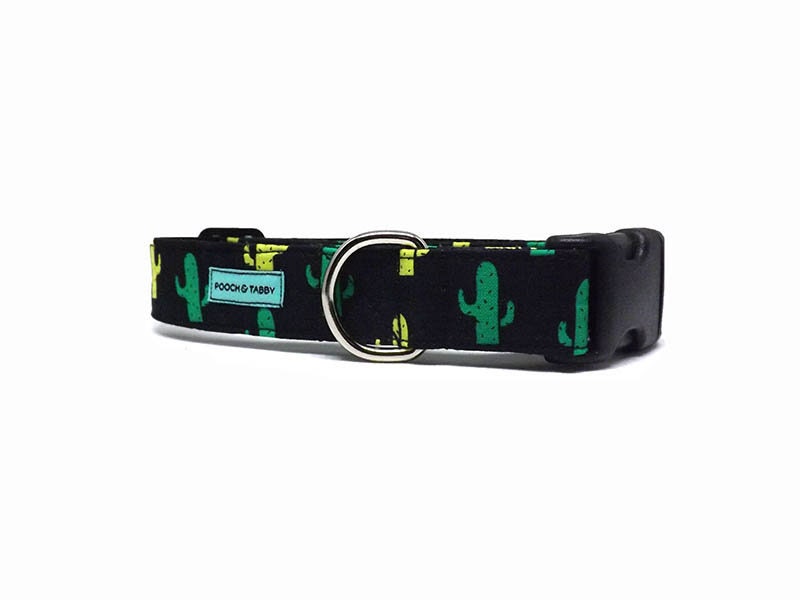 cactus dog collar