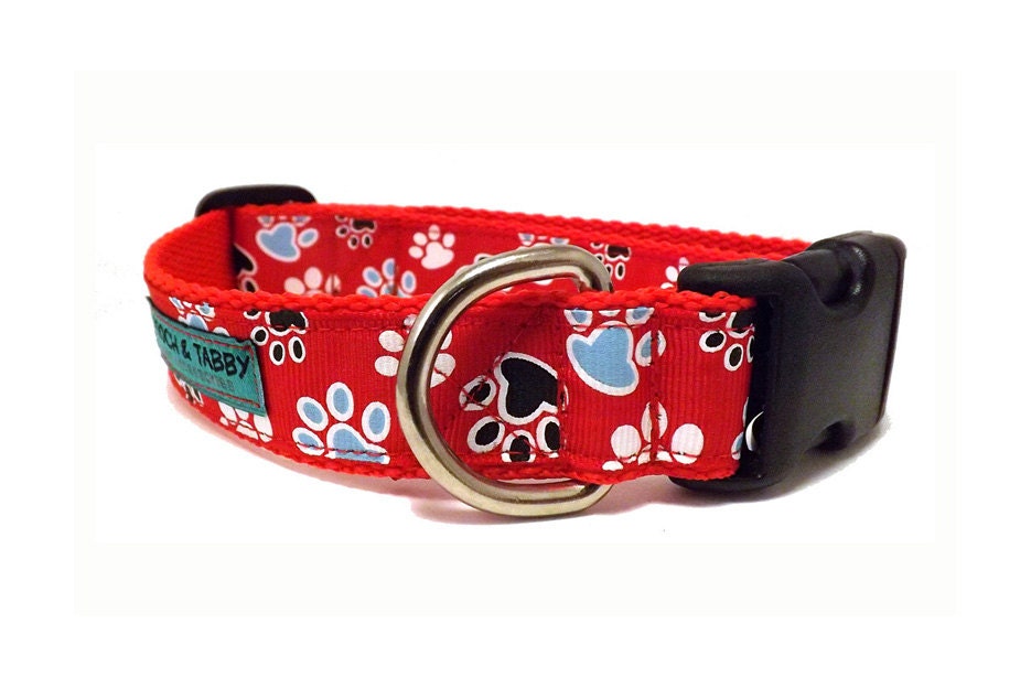 Spaghetti And Meatball Dog Collar, Side Release Adjustable Dog Collar