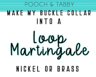 Make it a LOOP Martingale Upgrade Regular Buckle Dog Collar to a Loop Martingale Dog Collar