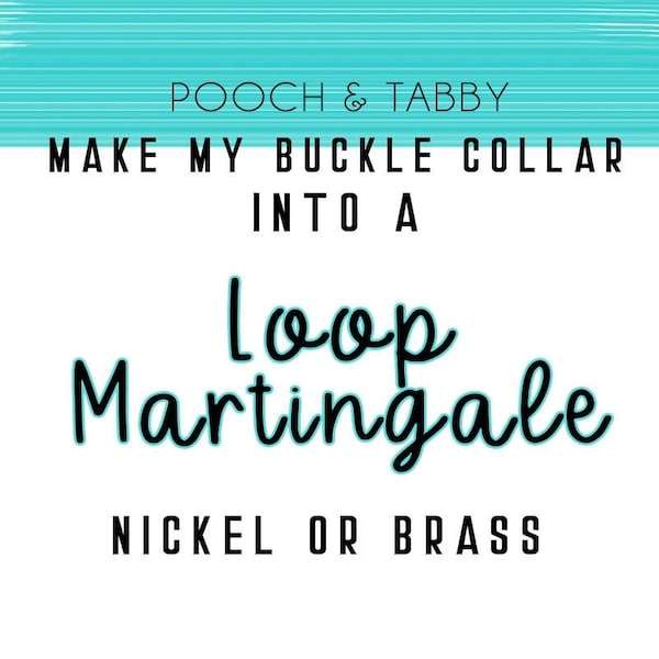 Make it a LOOP Martingale Upgrade Regular Buckle Dog Collar to a Loop Martingale Dog Collar