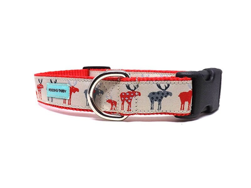 moose dog collar