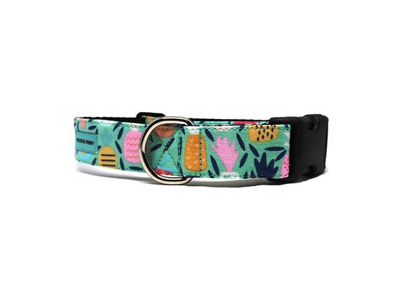 pineapple dog collar