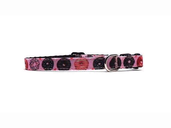 Dunkin donuts hotsell dog collar