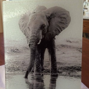 Glass cutting board featuring Elephant Picture