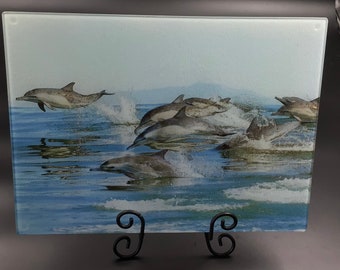 Dolphins glass cutting board