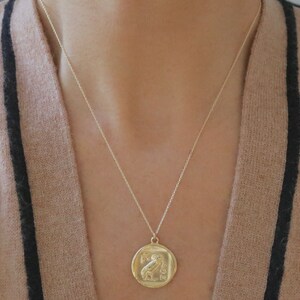 Op de afbeelding: Een goudkleurige ketting met een ronde hanger met een uil en Griekse letters. De hanger hangt aan een fijne ketting. De ketting wordt gedragen tegen een neutraal gekleurde trui.