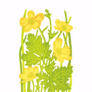 Buttercup Art print, Buttercup Linocut Print, Buttercup Limited Edition Linocut Print image 1