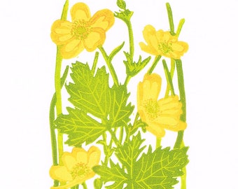 Buttercup Art print, Buttercup Linocut Print, Buttercup Limited Edition Linocut Print