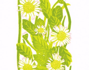 Daisies Linocut Print, Original Limited Edition Floral Art