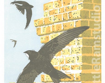 Urban Swifts Original Linocut Print - Limited Edition, Signed Art