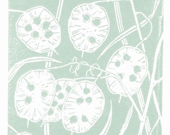 Honesty Seedhead Linocut Print in Duck Egg Blue