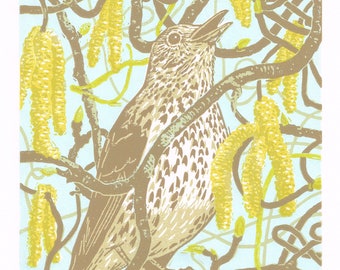 Thrush print, Song Thrush linocut print, Song Thrush limited edition linocut print