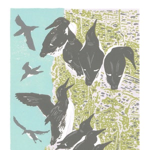 Guillemots, sea birds linocut print, sea bird art print - Guillemots, Bempton Cliffs limited edition linocut print.