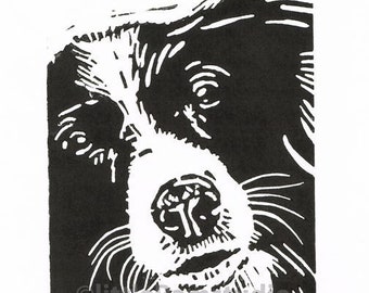 Dog art, Collie dog art print. Dog Linocut Print