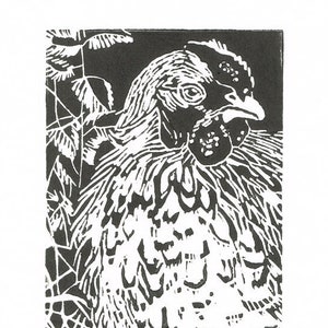 Chicken, Chicken art, Chicken linocut print - Chicken in the nettle bed.