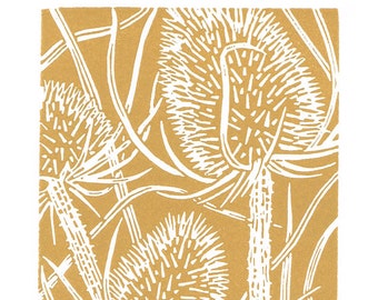 Teasel Seedhead Handcut Linocut Print