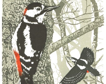 Woodpecker print, Woodpecker linocut print, Woodpecker art print - Great Spotted Woodpecker - Original limited edition linocut print.