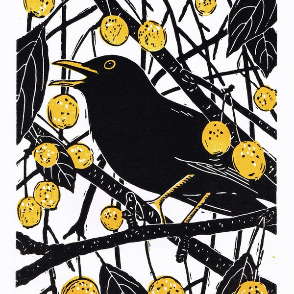 Blackbird print, Blackbird lino print, Blackbird limited edition linocut print