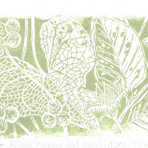 May include: A green and white linocut print of leaves and berries. The print is titled "Black Bryony and Beech Leaves, October" and signed "Paul Kidd".