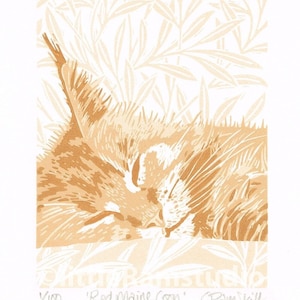 Red Maine Coon Cat, Cat linocut print - Original limited edition hand cut Lino Print