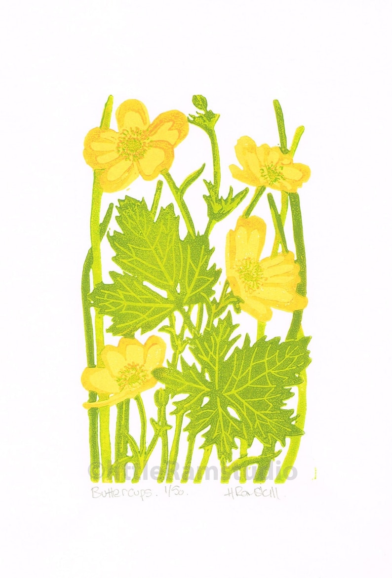 Buttercup Art print, Buttercup Linocut Print, Buttercup Limited Edition Linocut Print image 1