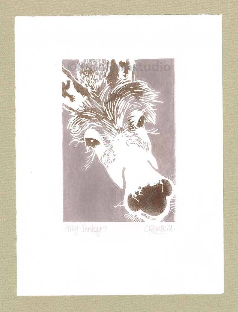 Grey Donkey Linocut Original hand pulled Relief Print image 1