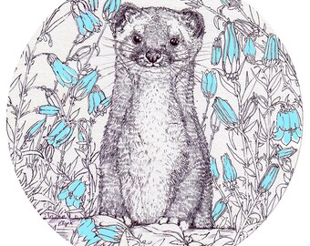 Cute Stoat- Print- Illustration- Home decor- Gift idea