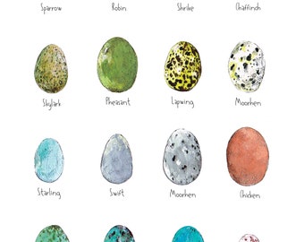 Eggs - Print - Art- Forest- Illustration