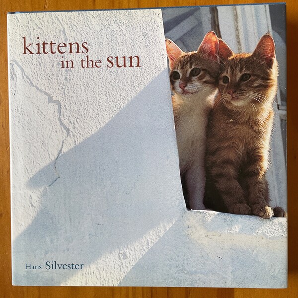 Kittens in the Sun by Hans Silvester, 1999