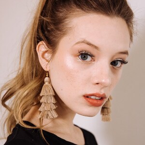 tassel earrings - stone