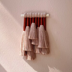 mini juniper / macrame wall hanging