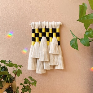 checkered mini juniper / macrame wall hanging image 3