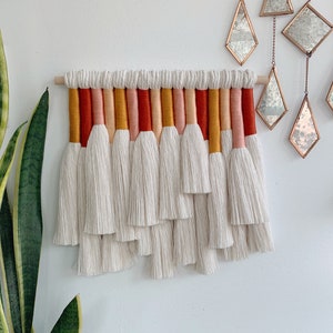 juniper / macrame wall hanging