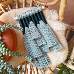 mini juniper / macrame wall hanging