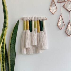 mini juniper / macrame wall hanging