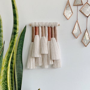 mini juniper / macrame wall hanging