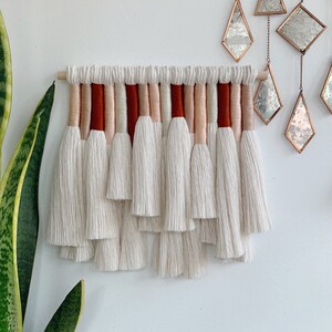 juniper / macrame wall hanging
