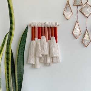 mini juniper / macrame wall hanging