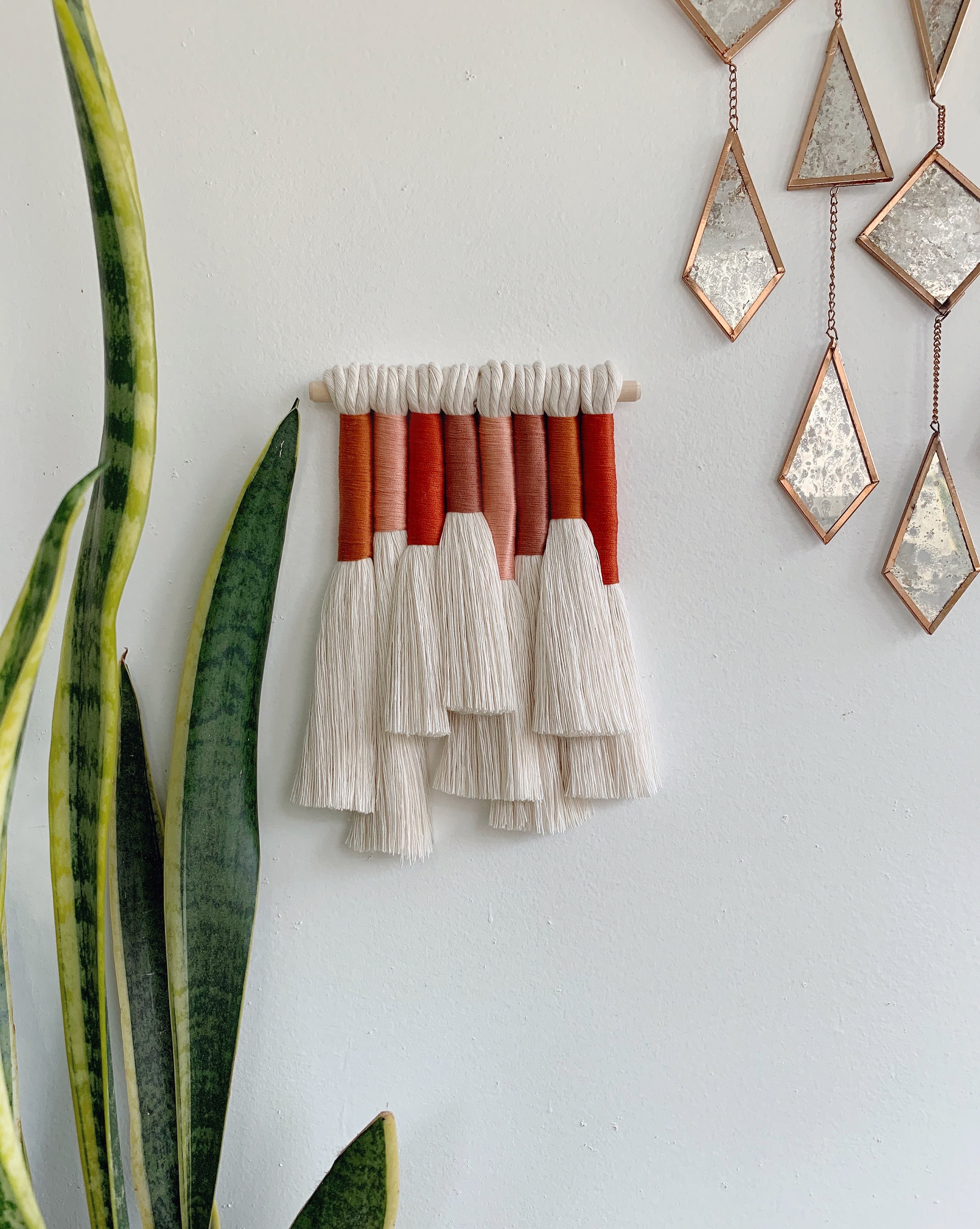 Mini Genévrier/Mur de Macramé Suspendu