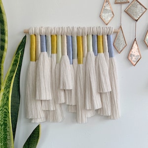 juniper / macrame wall hanging