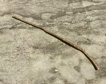 Magic Wand Natural Holly Wood 14.875” (Ilex opaca)