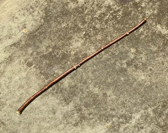 Magic Wand Natural Thin Maple Branch 16.25” (Acer rubrum)