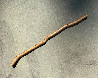 Magic Wand Natural Mountain Laurel Wood 12.25” (Kalmia latifolia)