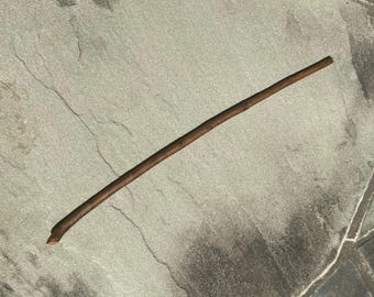 Magic Wand Natural Lilac Wood 14.5” (Syringa vulgaris)